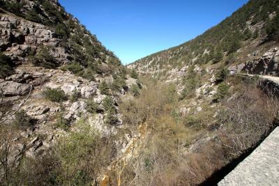 Прикрепленное изображение: A58DSC08293.jpg